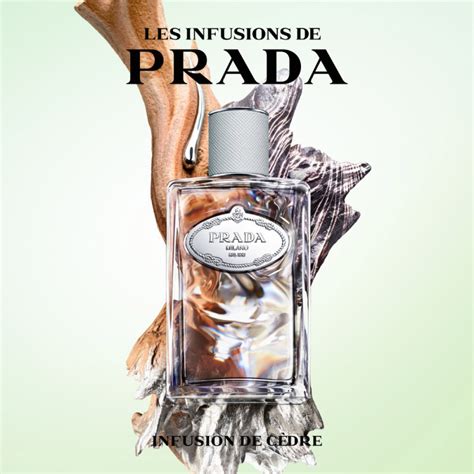 prada infusion diris alternatives|Prada infusion cedar.